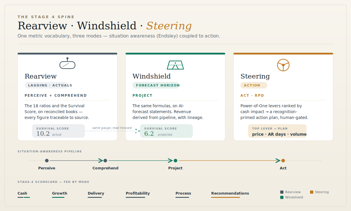 Rearview · Windshield · Steering, with the Survival Score read in both modes.